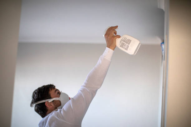 Best Fast Mold Removal  in Cherry Creek, CO