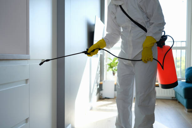 Cherry Creek, CO Mold Removal Company