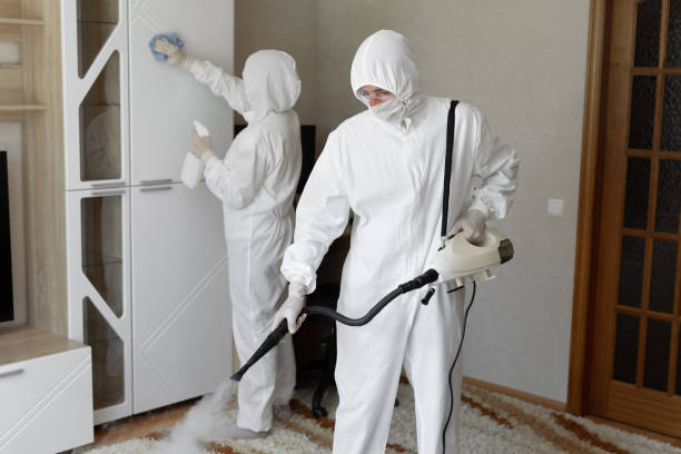Mold Testing and Removal in Cherry Creek, CO